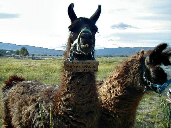 Strangest thing found while geocaching