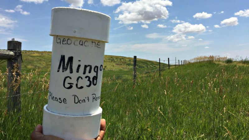 Mingo was its name-O