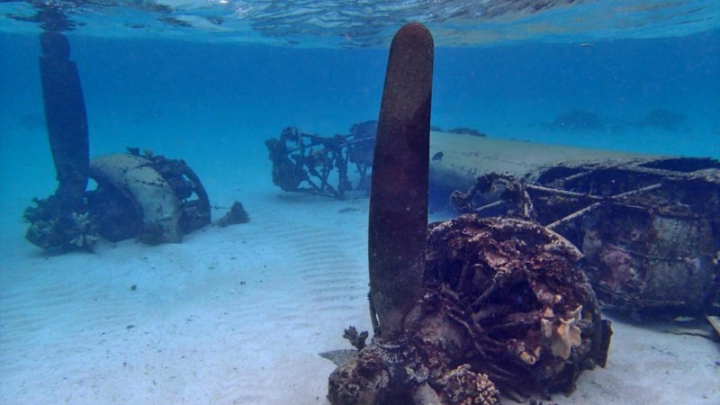 B-24J “Liberator” — Geocache of the Week
