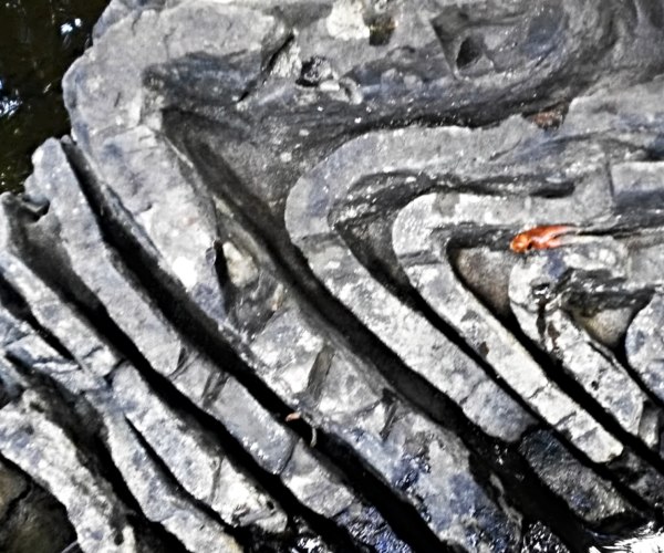 GC5DD4A — Ontario, Canada