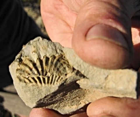 GC336KY — South Africa