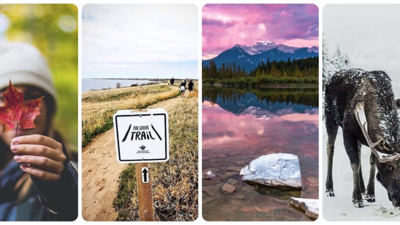 The Great Trail Treasure Hunt