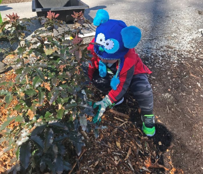 CITO Washington GC829P6