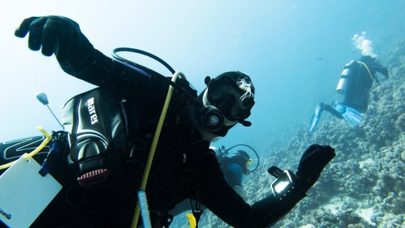 Tauchen im Roten Meer / Diving in the Red Sea