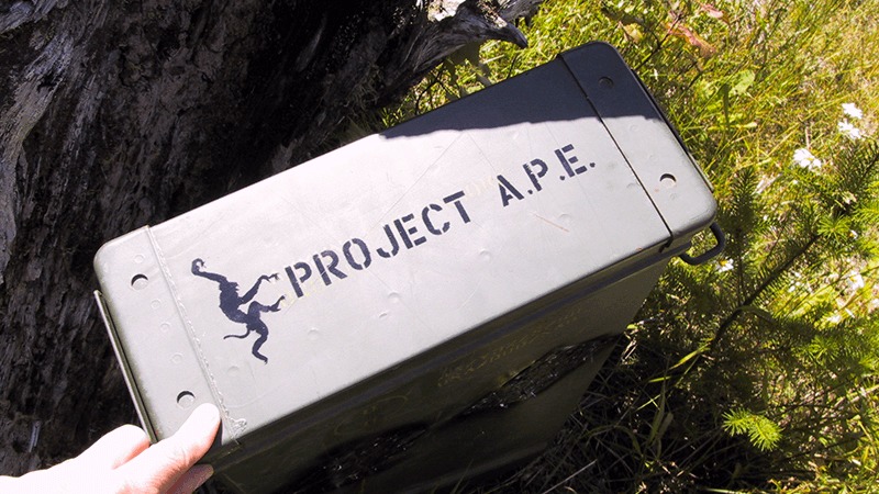 APE Cache container