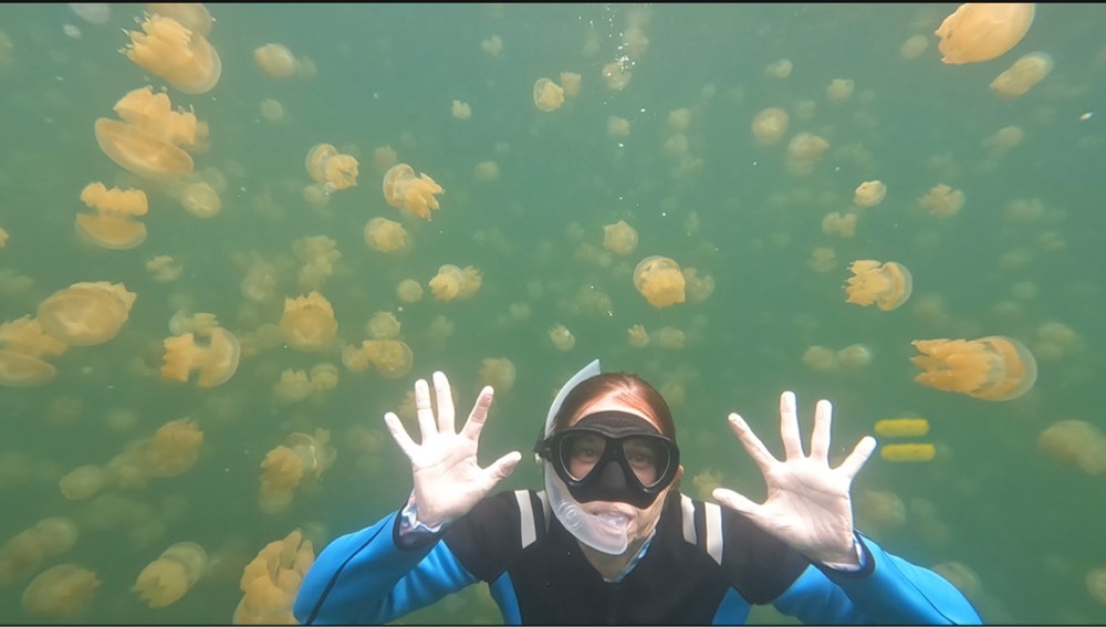 A geocacher snorkeling underwater in a sea of jellyfish.