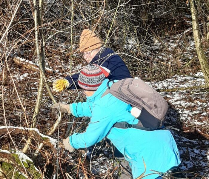 06a33725-1697-4707-b6b4-a7bdfad7f955