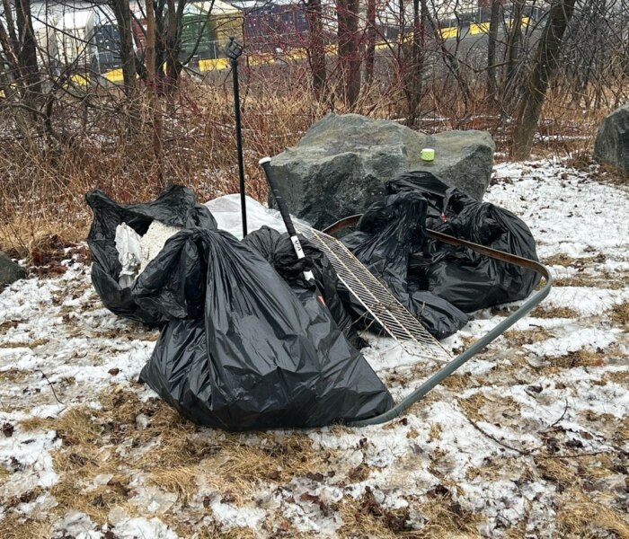 49f761b1-36ec-4fde-b553-81e88029d0e0