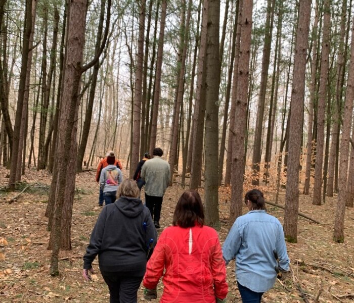 4b95c15c-b27a-4619-a392-da2bdee4b252